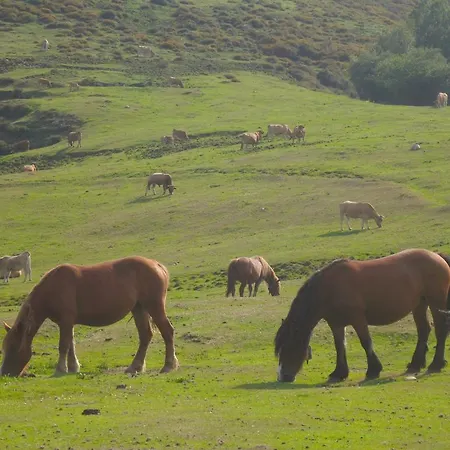 La Retuerta Ferienhaus
