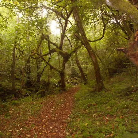 Ferienhaus La Retuerta